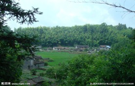 历史名村 翠竹洋