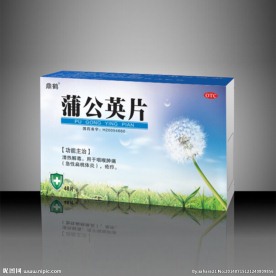 蒲公英片包装平面图