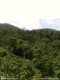 蓝天绿山