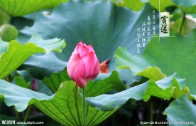 烟雨西湖