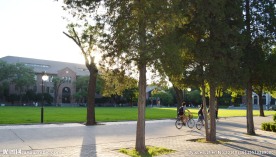 大学校园