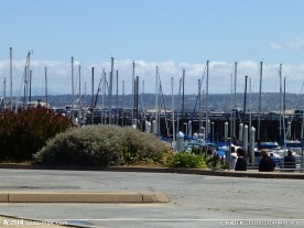 渔人码头的桅杆