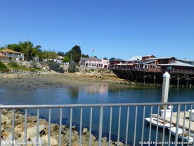 旧金山渔人码头