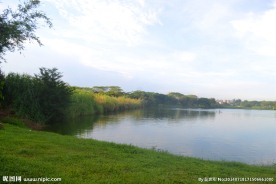 松湖绿岸