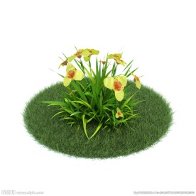 花模型  植物模型