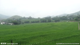 田野风景