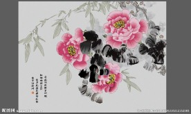 牡丹