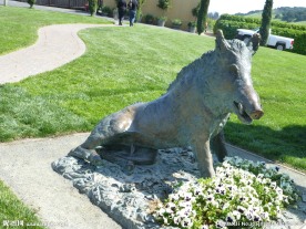 旧金山葡萄园的铜猪