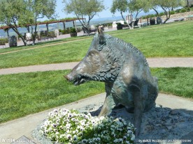 旧金山葡萄园铜猪雕像
