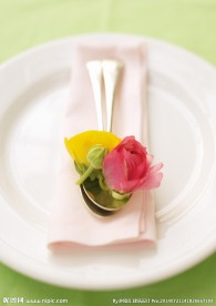 室内居家花朵