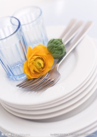 居家花朵摄影