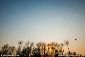 夕阳下