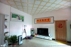 客厅景观