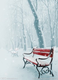 唯美雪景