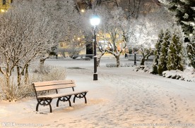 公园雪景