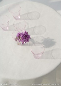 居室花朵摄影