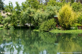 旧金山napa葡萄园