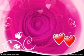玫瑰花背景图片