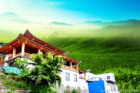 伍家台贡茶生产基地