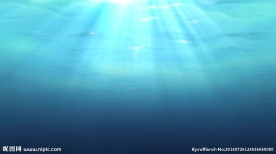 阳光下的海洋