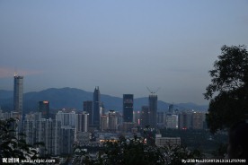 深圳中心城区图