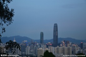 深圳中心城区图