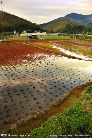 彩色田野 夕阳