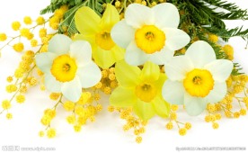 水仙花