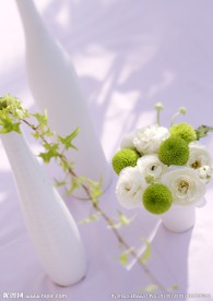 室内花朵摄影