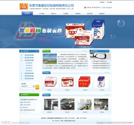 企业网站