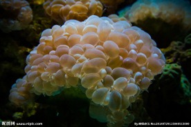 水族馆