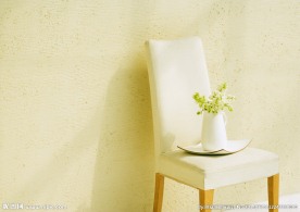 室内植物摄影