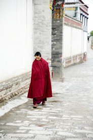 小沙弥