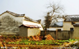 江南水乡 古建筑