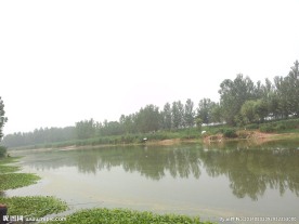 河景