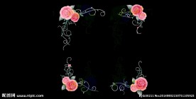 花纹生长视频素材