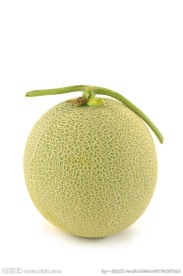 哈密瓜特写