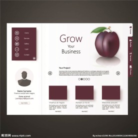 网站模板 网页模板