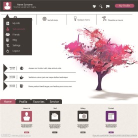 网站模板 网页模板