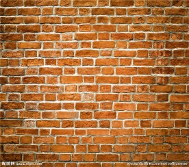 砖墙 墙壁