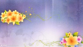 素雅的花朵