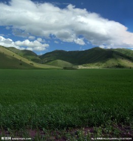山中景色