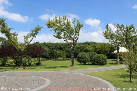 公园风景