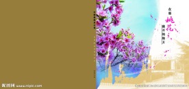 桃花节画册封面
