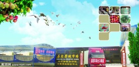 桃花节画册