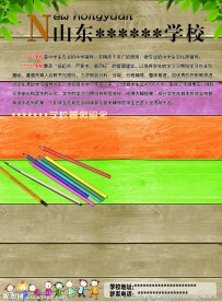 招生 宣传单