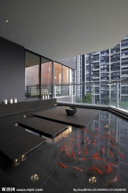 客厅  金鱼