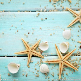 海星