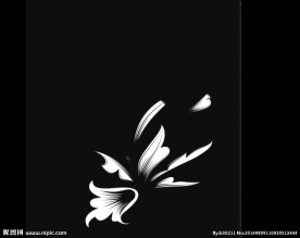 白色花朵视频