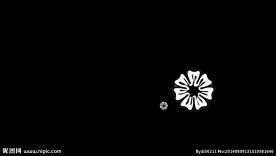 花朵视频